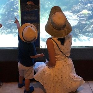 Meet your Posher, Meng